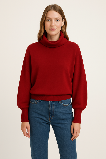 Sweater Pierre Cardin Paris